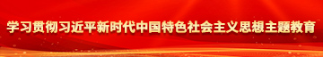 大吊草嫩逼学习贯彻习近平新时代中国特色社会主义思想主题教育